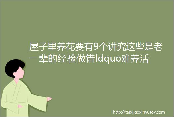 屋子里养花要有9个讲究这些是老一辈的经验做错ldquo难养活rdquo